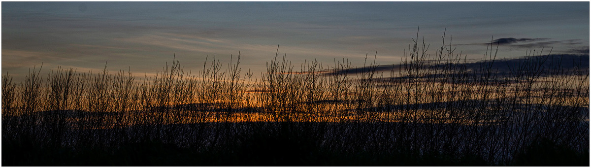 Riverbank Sunset